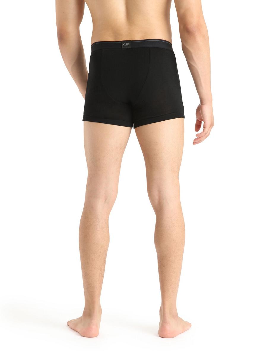 Bielizny Icebreaker Merino 175 Everyday Thermal Boxers With Fly Męskie Czarne | PL 1654MQZA